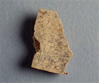 藏品(甲骨殘片)的圖片