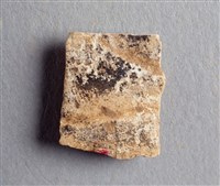 藏品(甲骨殘片)的圖片