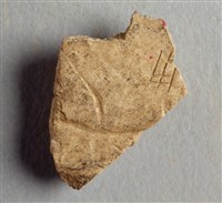 藏品(甲骨殘片)的圖片