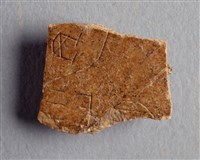 藏品(甲骨殘片)的圖片