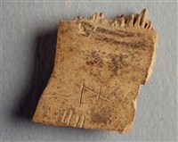 藏品(甲骨殘片)的圖片