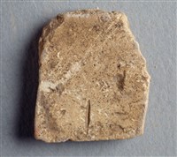 藏品(甲骨殘片)的圖片