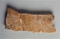 藏品(甲骨殘片)的圖片