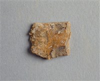 藏品(甲骨殘片)的圖片