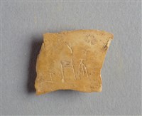 藏品(甲骨殘片)的圖片