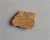 藏品(甲骨殘片)的圖片