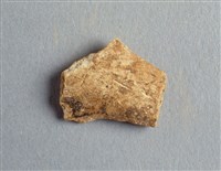 藏品(甲骨殘片)的圖片