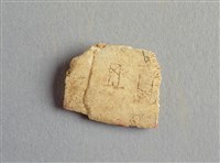 藏品(甲骨殘片)的圖片