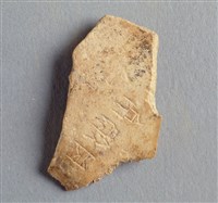 藏品(甲骨殘片)的圖片