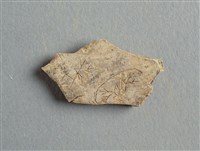 藏品(甲骨殘片)的圖片