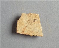 藏品(甲骨殘片)的圖片