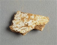 藏品(甲骨殘片)的圖片