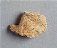 藏品(甲骨殘片)的圖片