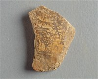 藏品(甲骨殘片)的圖片