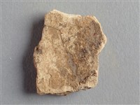 藏品(甲骨殘片)的圖片