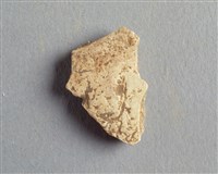 藏品(甲骨殘片)的圖片