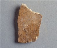 藏品(甲骨殘片)的圖片