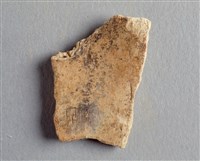 藏品(甲骨殘片)的圖片