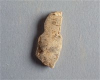 藏品(甲骨殘片)的圖片