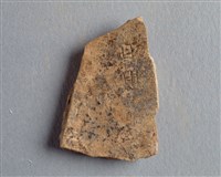 藏品(甲骨殘片)的圖片