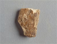 藏品(甲骨殘片)的圖片