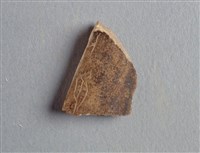 藏品(甲骨殘片)的圖片