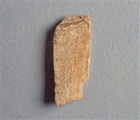 藏品(甲骨殘片)的圖片