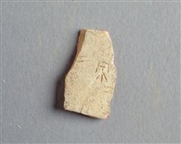 藏品(甲骨殘片)的圖片