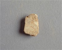 藏品(甲骨殘片)的圖片