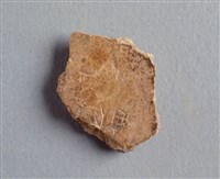 藏品(甲骨殘片)的圖片