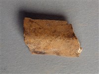 藏品(甲骨殘片)的圖片