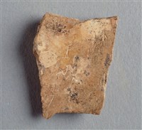 藏品(甲骨殘片)的圖片