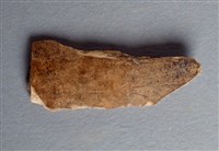 藏品(甲骨殘片)的圖片