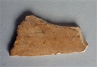 藏品(甲骨殘片)的圖片