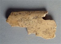 藏品(甲骨殘片)的圖片