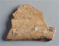 藏品(甲骨殘片)的圖片