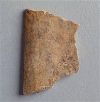 藏品(甲骨殘片)的圖片