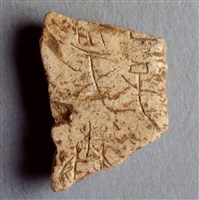 藏品(甲骨殘片)的圖片