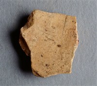 藏品(甲骨殘片)的圖片