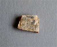 藏品(甲骨殘片)的圖片