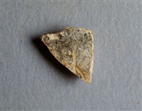 藏品(甲骨殘片)的圖片