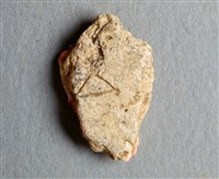 藏品(甲骨殘片)的圖片