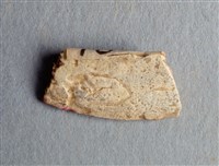 藏品(甲骨殘片)的圖片