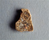 藏品(甲骨殘片)的圖片