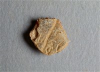 藏品(甲骨殘片)的圖片