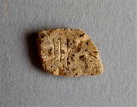 藏品(甲骨殘片)的圖片