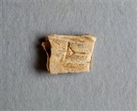 藏品(甲骨殘片)的圖片