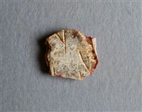 藏品(甲骨殘片)的圖片