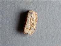 藏品(甲骨殘片)的圖片