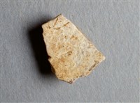 藏品(甲骨殘片)的圖片